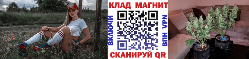 Наркотические вещества Миньяр Альфа ПВП  COCAIN  ГАШ  Псилоцибиновые грибы  Бутират  Бошки Шишки 